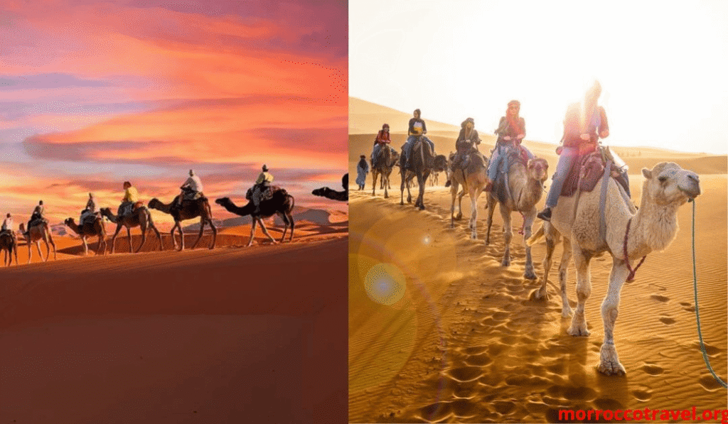 Best Time to Visit Morocco