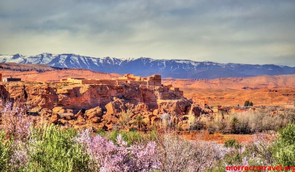 Best Time to Visit Morocco: Ultimate Seasonal Guide for 2026