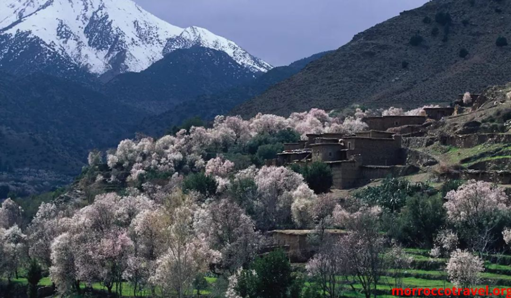 Best Time to Visit Morocco: Ultimate Seasonal Guide for 2026