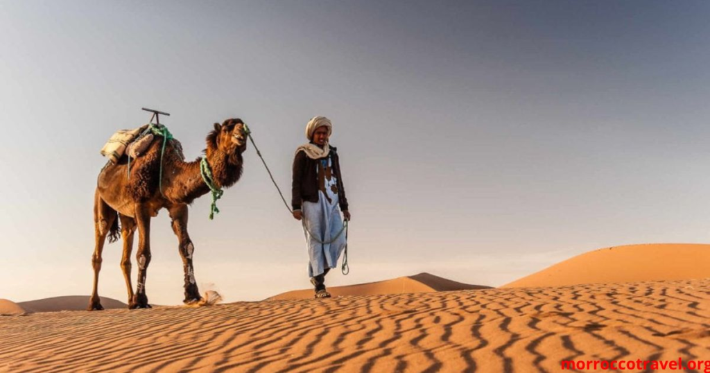 Cheap Travel Morocco Itinerary (7 Days)